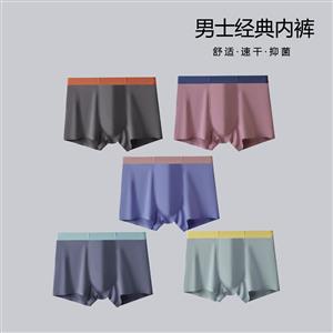 Men's 5-piece underwear set