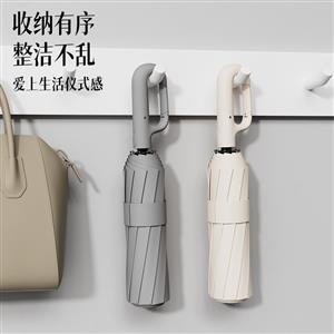 folding umbrella