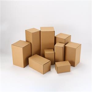Corrugated Carton