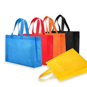 Nonwoven Handbag
