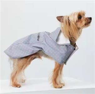 Pet Clothes